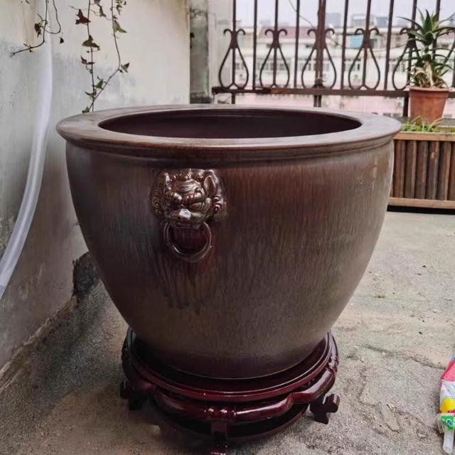 特大荷花缸 • 金魚缸 免運到府陶瓷魚缸蓮花釭金魚荷花釭水養釭陶瓷錦鯉金魚缸特大號