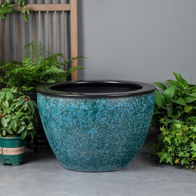 特大荷花缸 • 金魚缸 特大荷花缸 • 金魚缸 大型荷花缸的