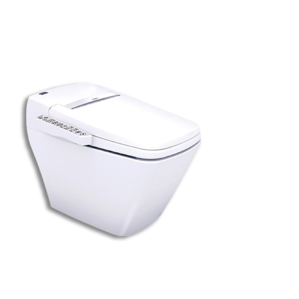 CAESAR凱撒衛浴 CA1381 二段式智慧馬桶,採用儲熱式加熱方式,提供舒適溫水清洗體驗。尺寸為 W46 x D72 x H52.5 cm(座高38 cm),臺灣原廠製造,電壓110V,材質與承載重量依原廠規格。內建BSMI許可字號 T31465,安全可靠,適合現代衛浴空間,提升生活品質。 CAESAR凱撒衛浴 CA1381