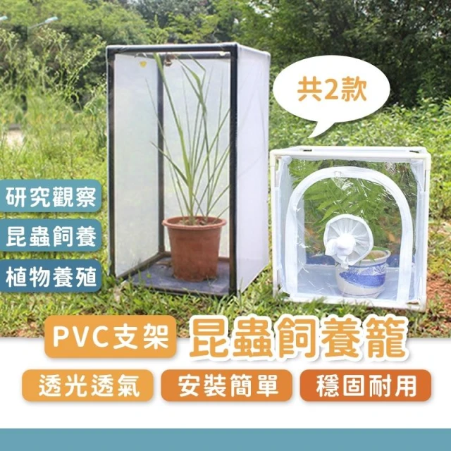 昆蟲飼養箱 昆蟲觀察盒 昆蟲箱 昆蟲盒 竹節蟲 毛毛蟲 昆蟲網籠 蝴蝶 獨角仙 螳螂 鍬形蟲
