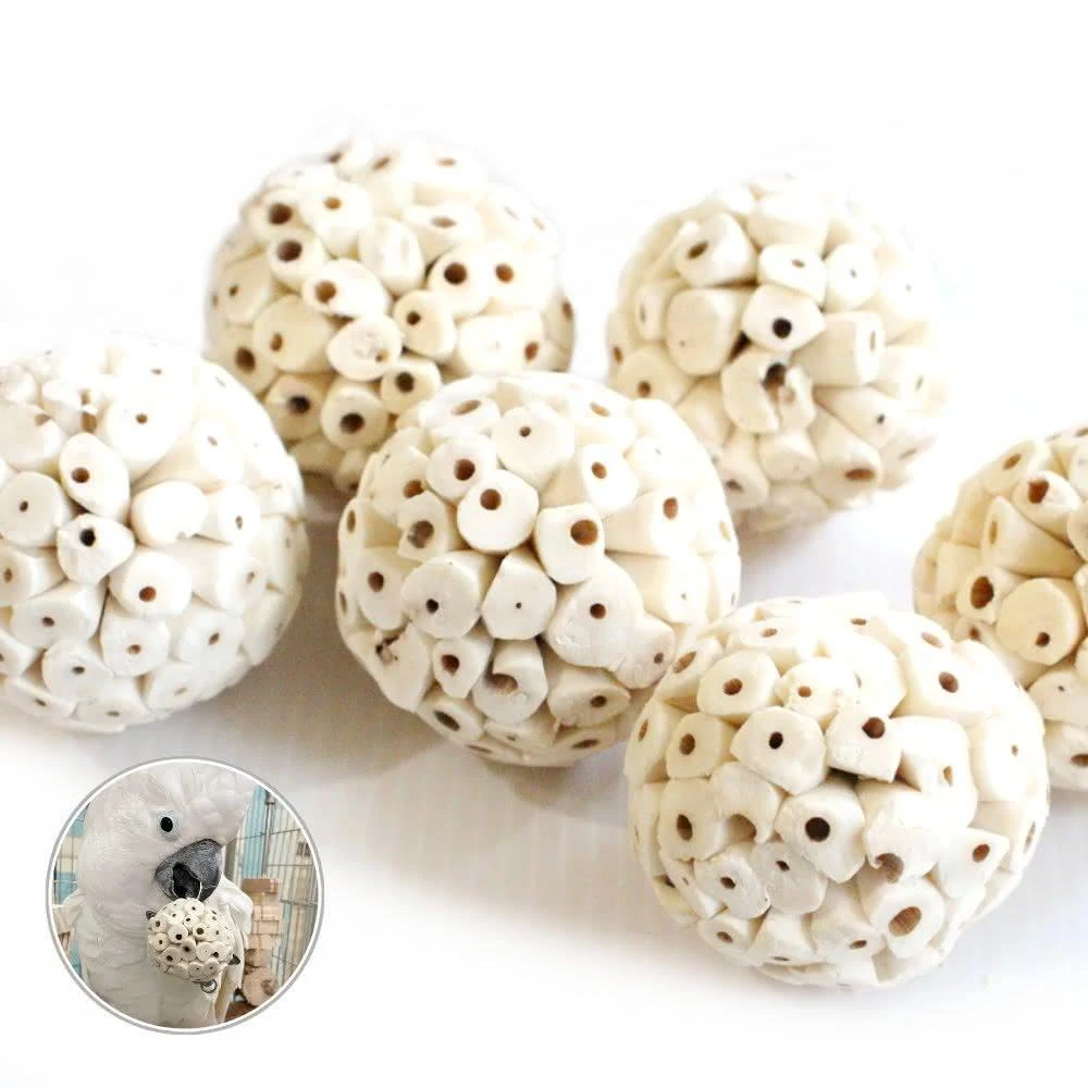 索拉花 天然植物 可分解 不怕誤食 鸚鵡玩具 益智玩具 鸚鵡啃咬玩具 波力鸚鵡玩具生活館