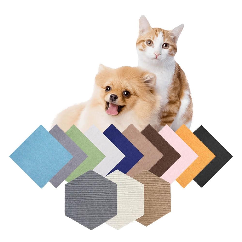 寵星球寵物用品- momo購物網- 好評推薦- 2026年01月