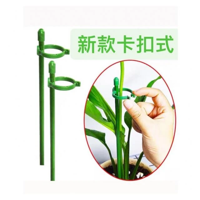 【欣榮園藝資材行】支架 植物支架 蘭花夾 植物支撐架 盆栽支架 爬藤支架 花盆支撐架 葉架 蝴蝶蘭 多肉 觀葉植物