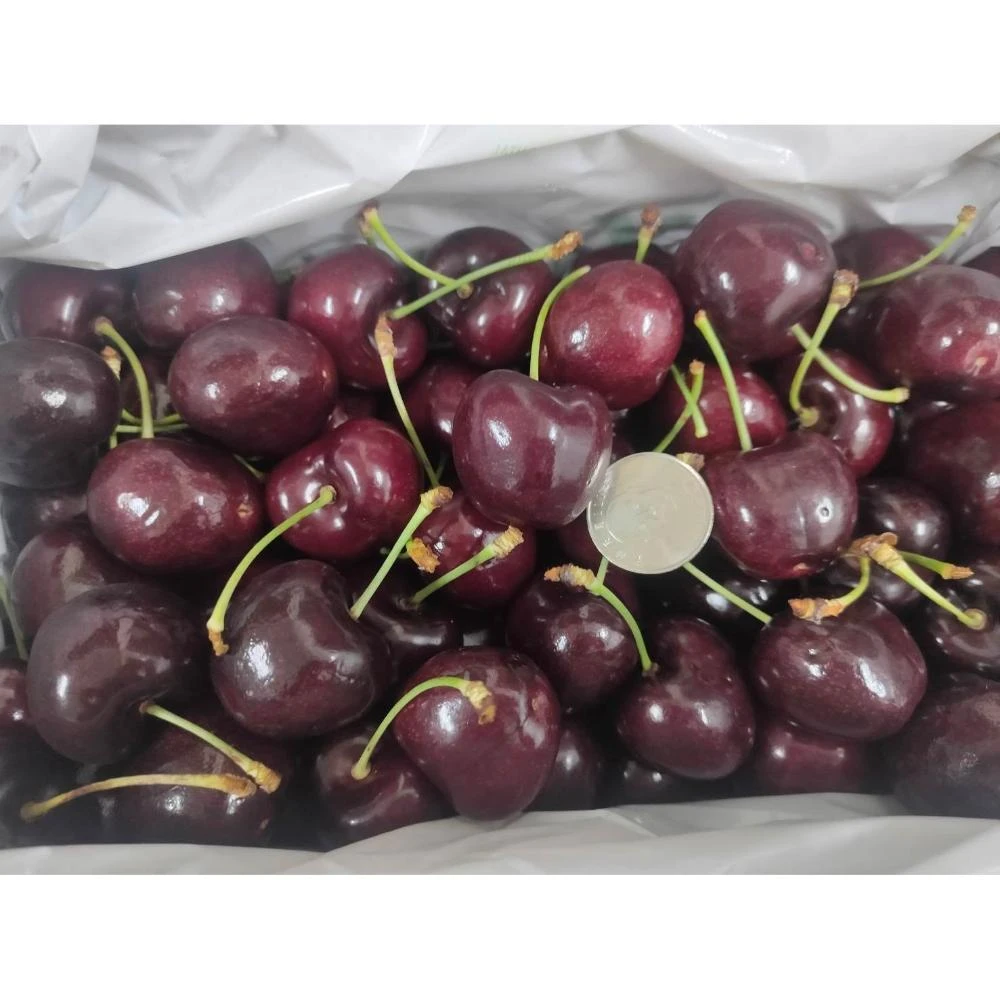 【莎莉嚴選】智利空運櫻桃  2JD 盒裝800g 