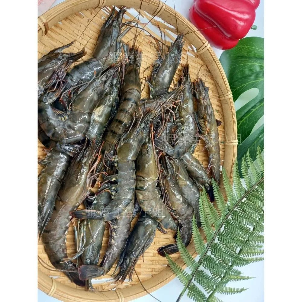 【蝦鮮生蟹小姐】活凍草蝦-大(花東) 600克