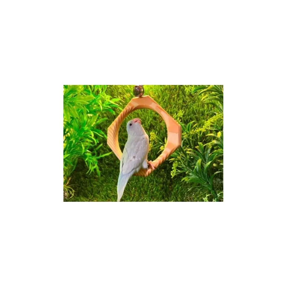 鸚鵡鞦韆平台,悠悠兩棲爬蟲特寵店【兩棲爬蟲/鸚鵡特寵/器材設備】 - momo購物網- 好評推薦-2026年1月