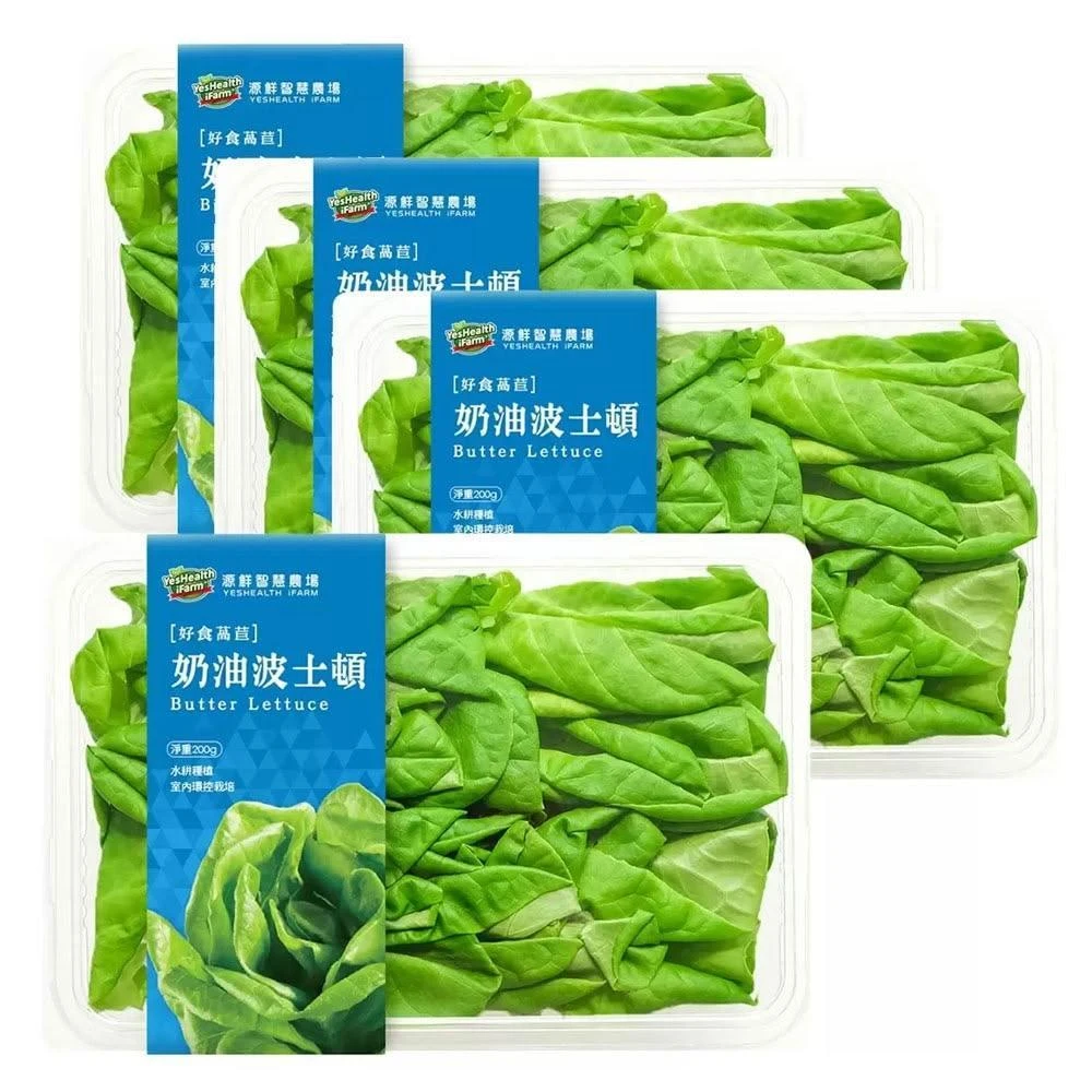 5Cgo🏆源鮮智慧農場 波士頓奶油萵苣200公克/盒 #860217-303