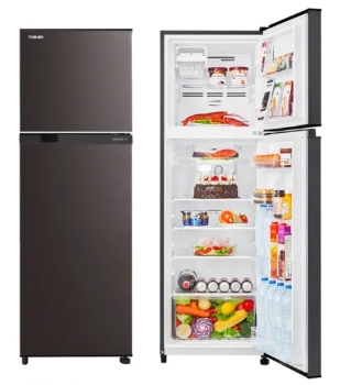 【TOSHIBA 東芝】GR-B31TP(SK) 262公升 一級能效抗菌鮮凍變頻冰箱 (含基本安裝)