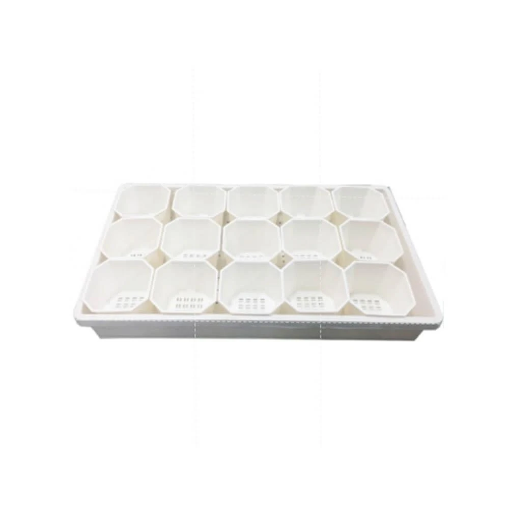 【蔬菜之家】景天八角多肉栽培組合3.5吋(4號) (3.5吋盆-白色*15個+育苗盤*1個) 多肉 觀葉 盆栽