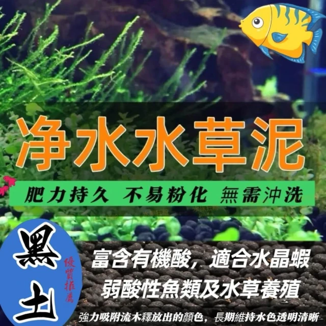水族魚缸 高品質水草泥  -黑土1KG裝 水草 底砂 魚缸 水草培育土 小型魚蝦專用 黑土 魚缸水草泥