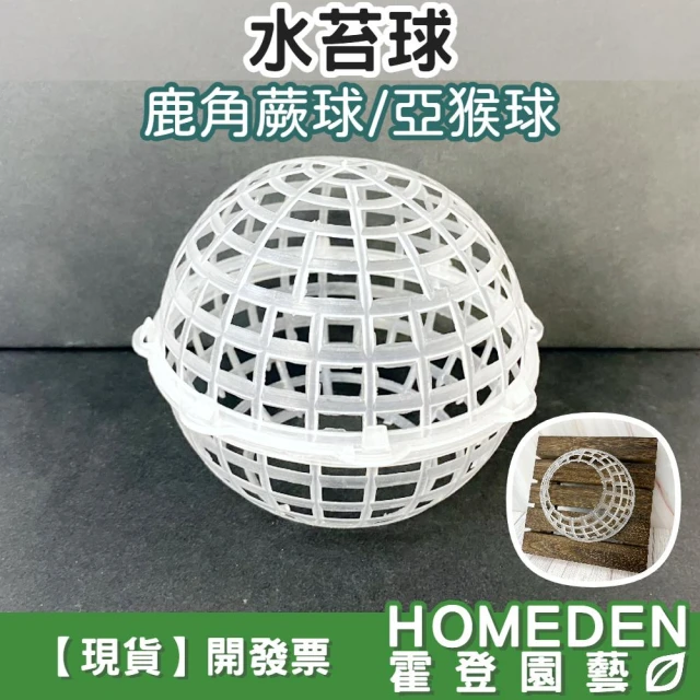 水苔球 亞猴球 鹿角蕨上板 鹿角蕨球 植物上版 鹿角蕨 上板神器 上球配件 塑膠盆【HOMEDEN霍登園藝】