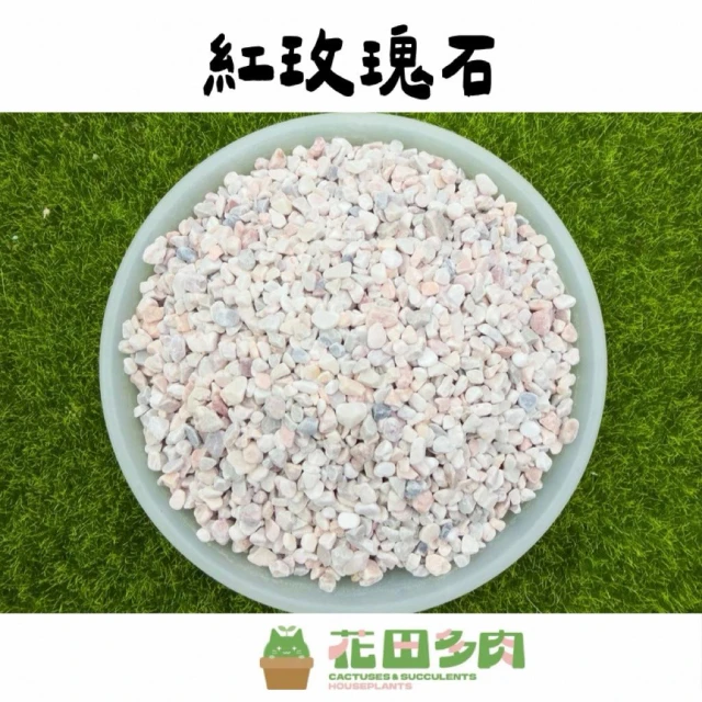 《花田多肉》🌵【紅玫瑰石】 500ml 介質/鋪面石/彩色石頭/多肉/仙人掌/園藝/盆栽/組盆