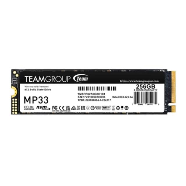 【Team 十銓】十銓 MP33 256G M.2 PCIe 固態硬碟