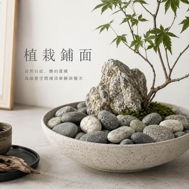 石意景觀石材】多彩海石-20公斤/裝☆鵝卵石天然石地舖石陽台庭院舖石