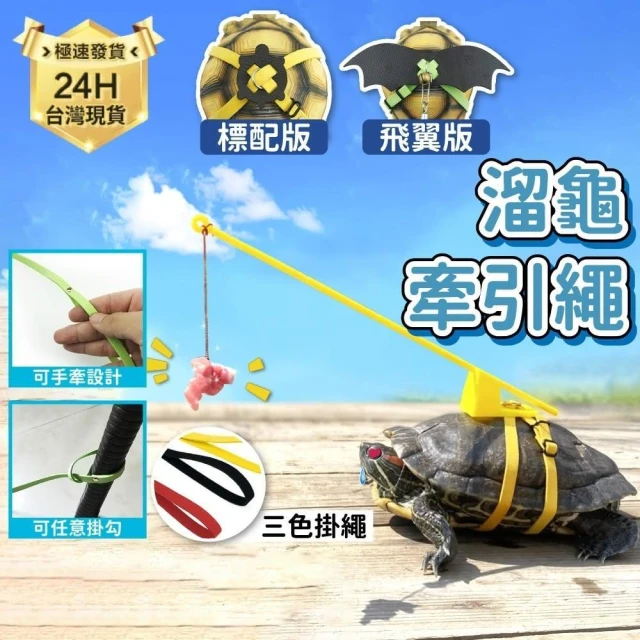 龜室｜遛龜繩 溜龜繩 陸龜牽引繩 烏龜繩 寵物牽引背帶 外出飛翼繩奔跑吧 烏龜配件 爬蟲配件