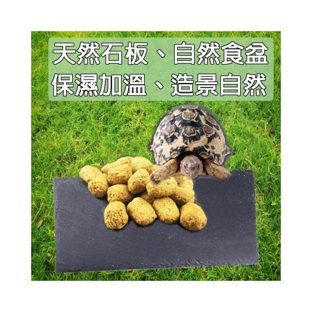 龜室 寵物石板 陸龜 烏龜 磨甲石板 岩板 爬蟲保暖保溫墊食盤食盆爬蟲爬寵造景蘇卡達蜥蜴守宮蠍子鬆獅